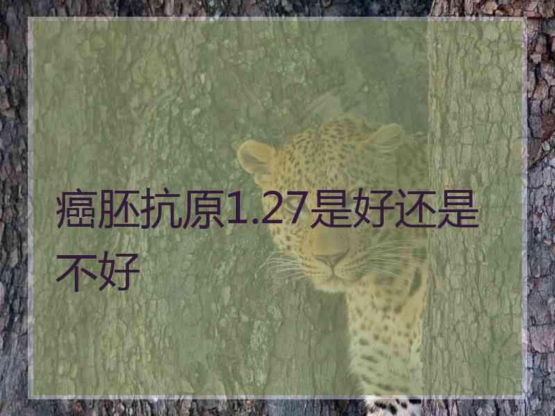 癌胚抗原1.27是好还是不好