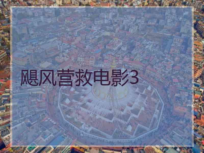 飓风营救电影3
