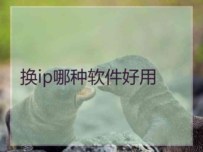 换ip哪种软件好用
