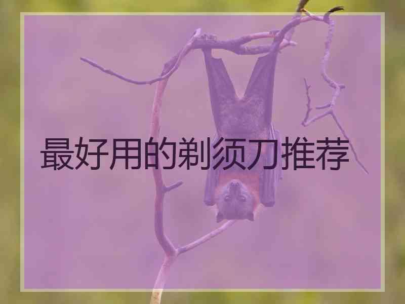 最好用的剃须刀推荐