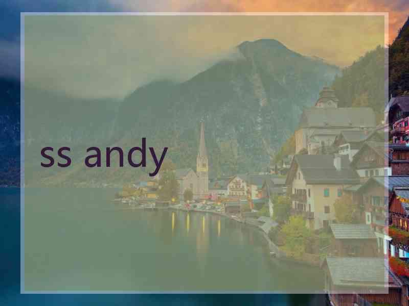 ss andy