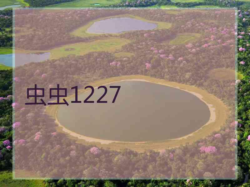 虫虫1227