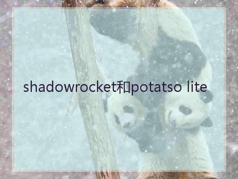 shadowrocket和potatso lite