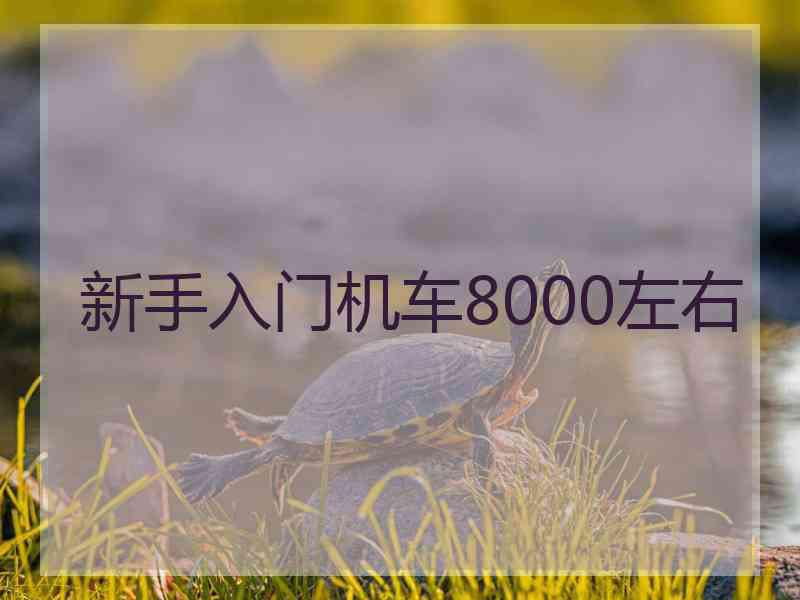 新手入门机车8000左右