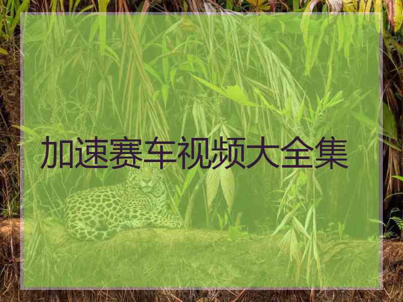 加速赛车视频大全集