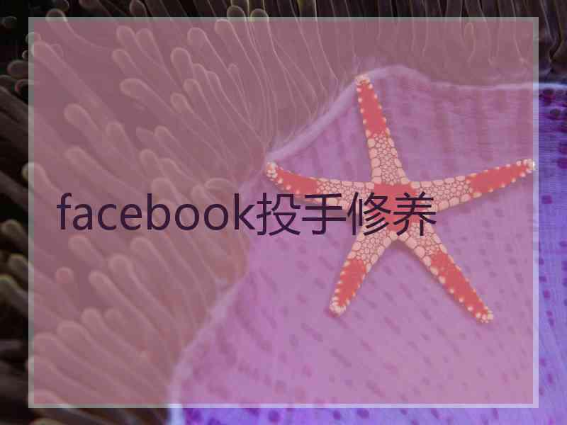 facebook投手修养
