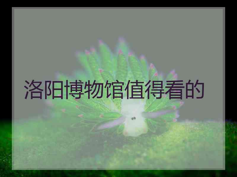 洛阳博物馆值得看的