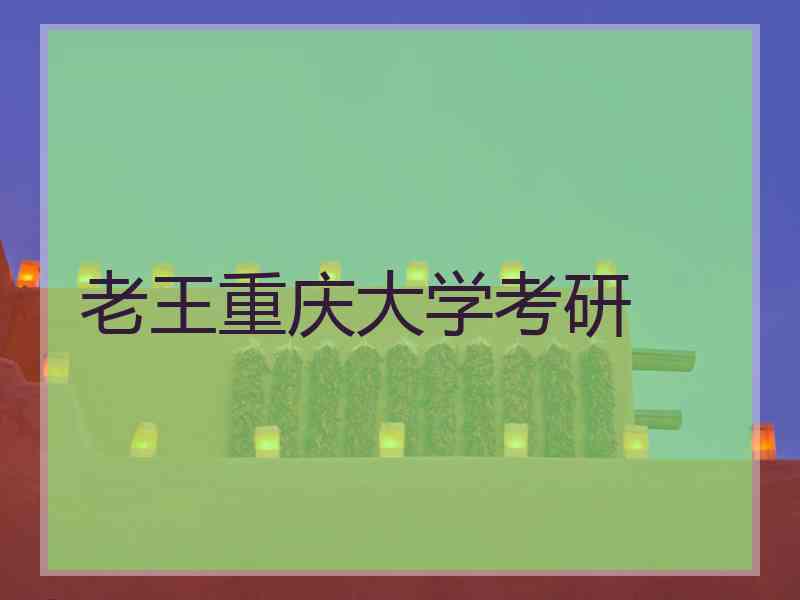 老王重庆大学考研
