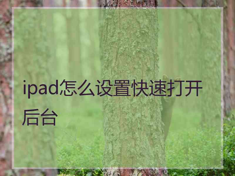 ipad怎么设置快速打开后台