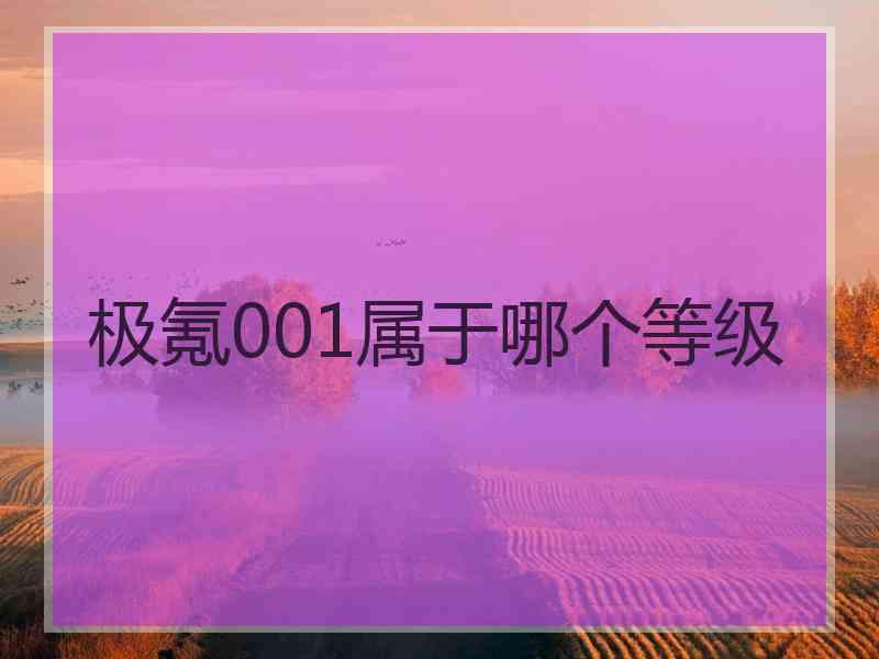 极氪001属于哪个等级