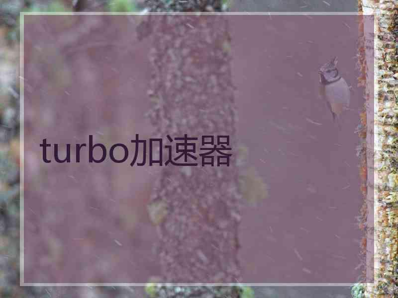 turbo加速器