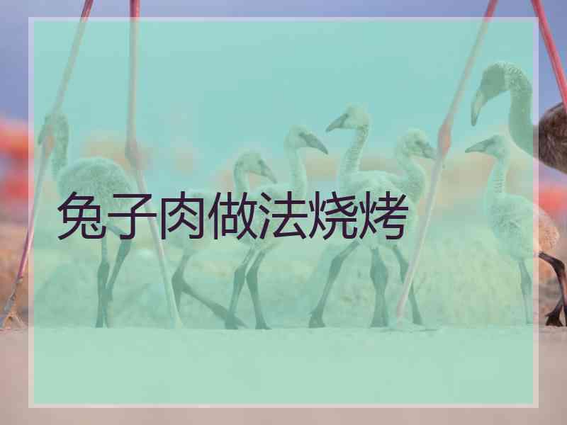 兔子肉做法烧烤