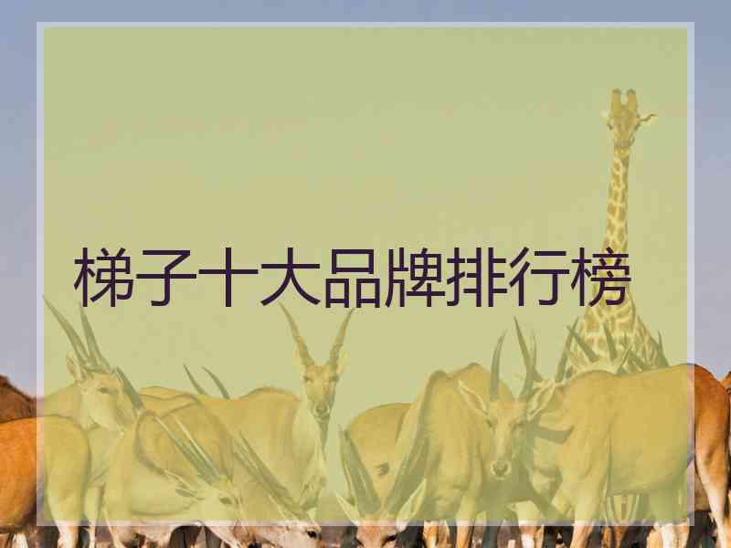 梯子十大品牌排行榜