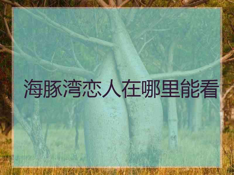 海豚湾恋人在哪里能看