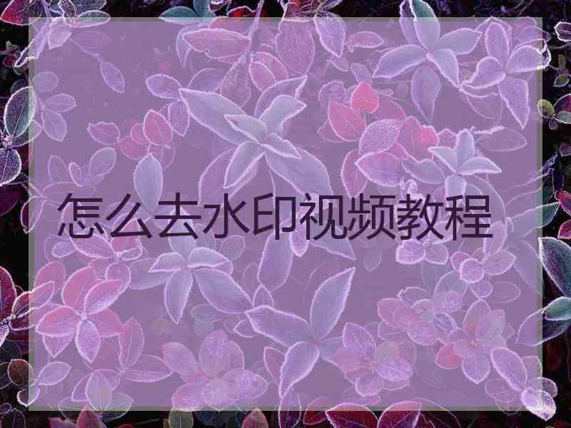 怎么去水印视频教程