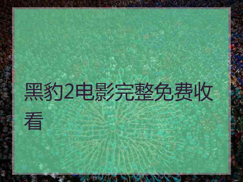 黑豹2电影完整免费收看