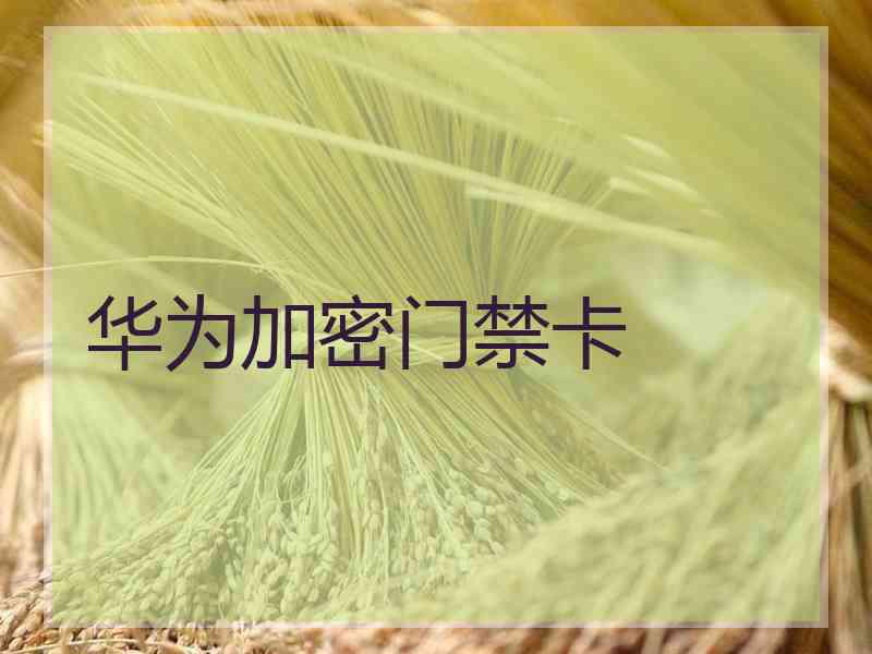 华为加密门禁卡
