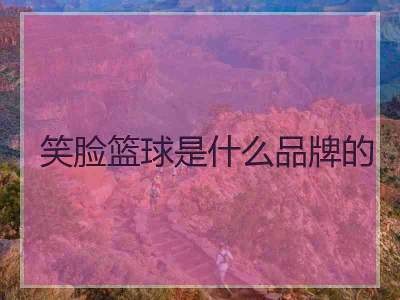 笑脸篮球是什么品牌的