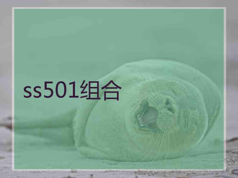 ss501组合