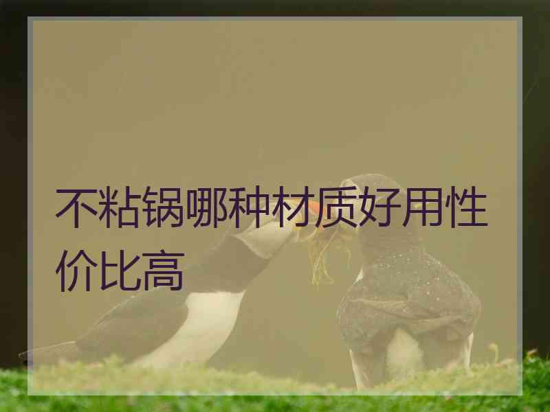 不粘锅哪种材质好用性价比高