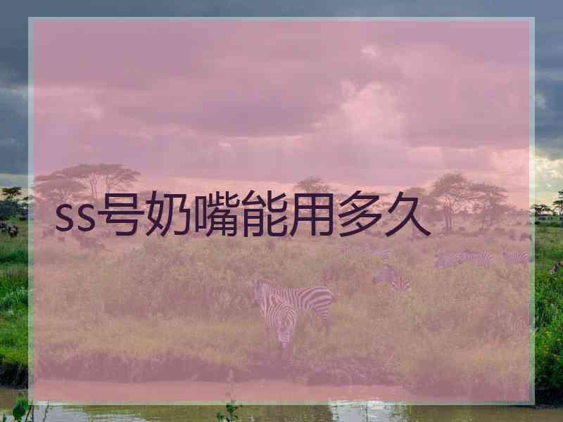 ss号奶嘴能用多久