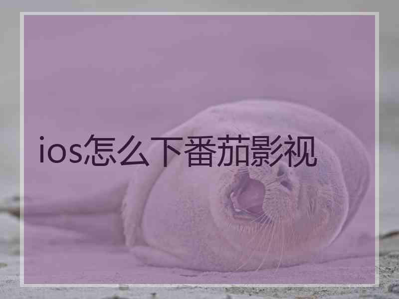 ios怎么下番茄影视