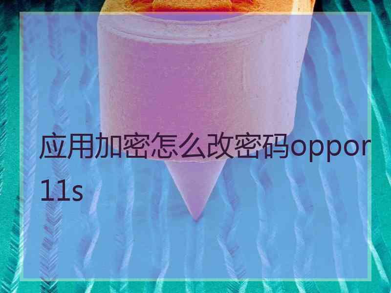 应用加密怎么改密码oppor11s
