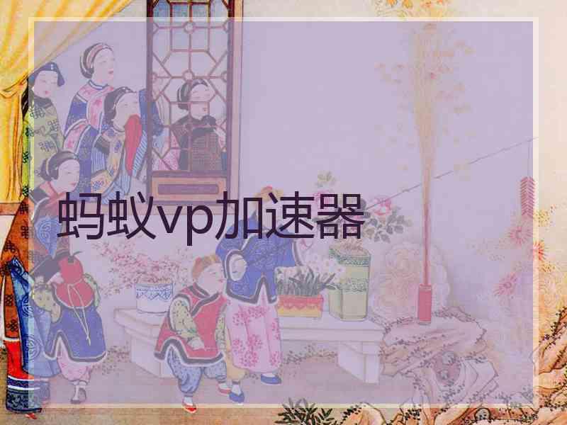 蚂蚁vp加速器