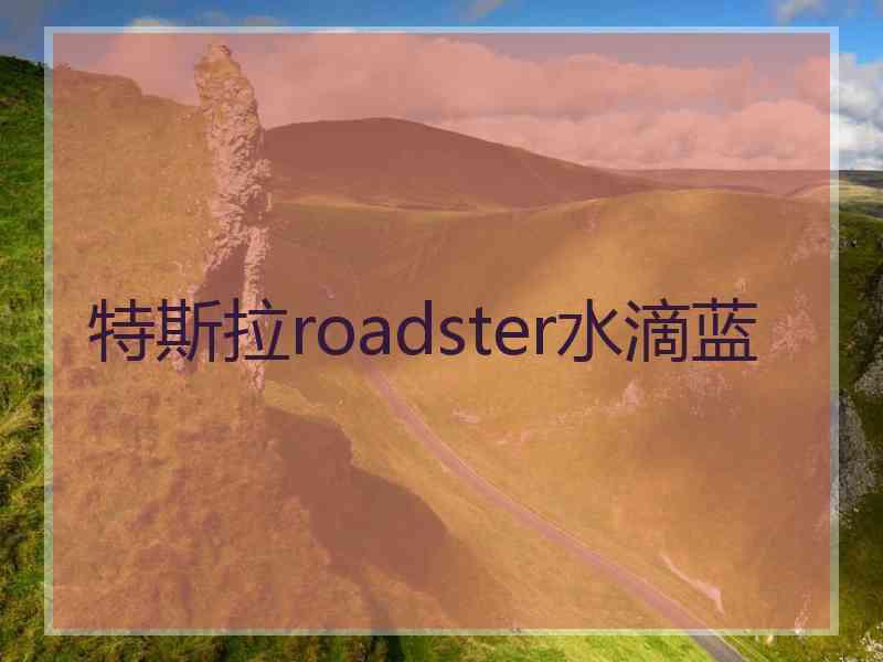 特斯拉roadster水滴蓝