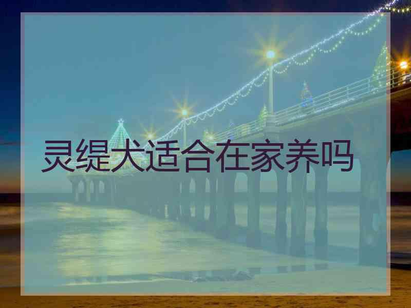 灵缇犬适合在家养吗