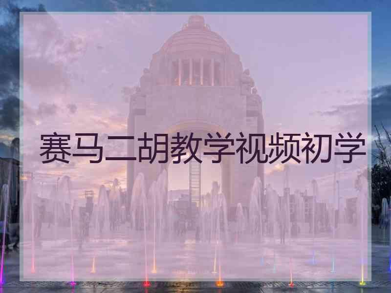 赛马二胡教学视频初学