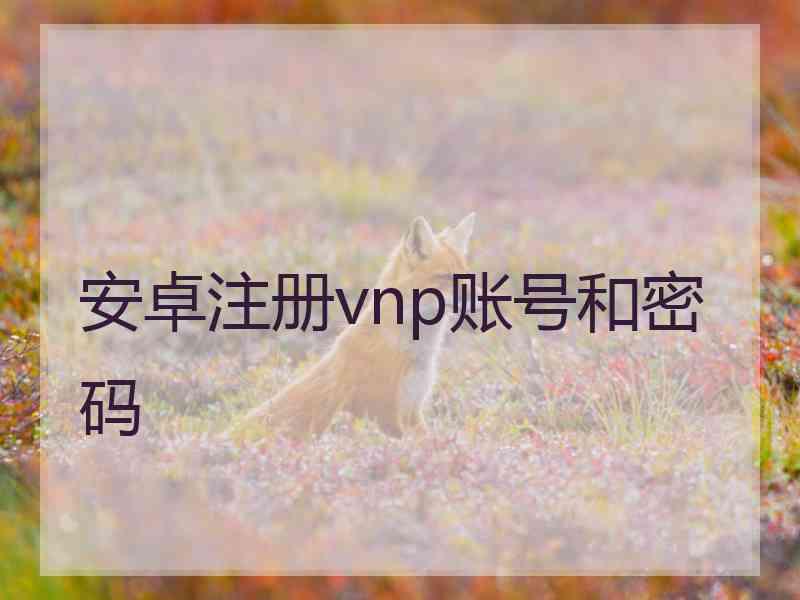安卓注册vnp账号和密码