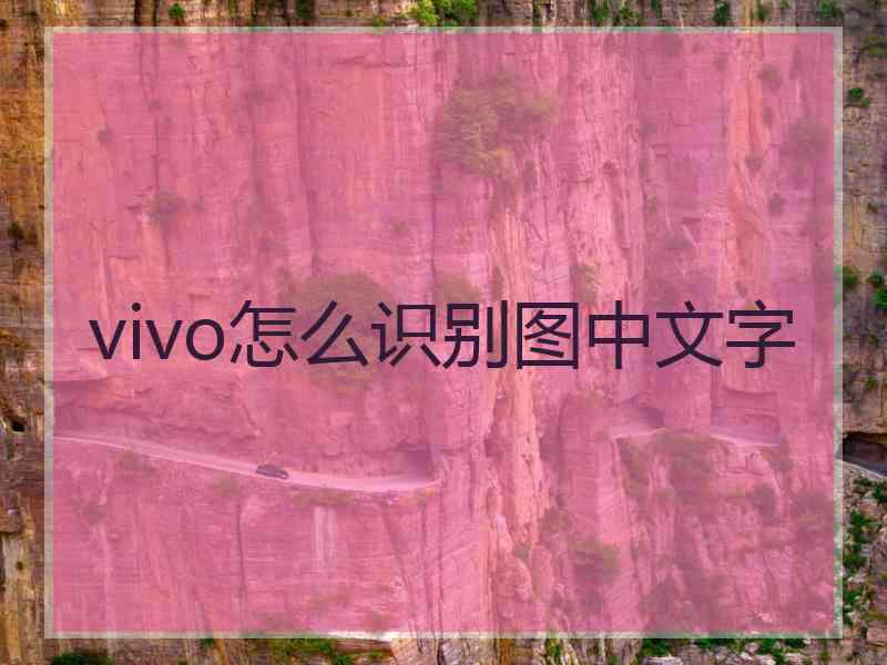 vivo怎么识别图中文字