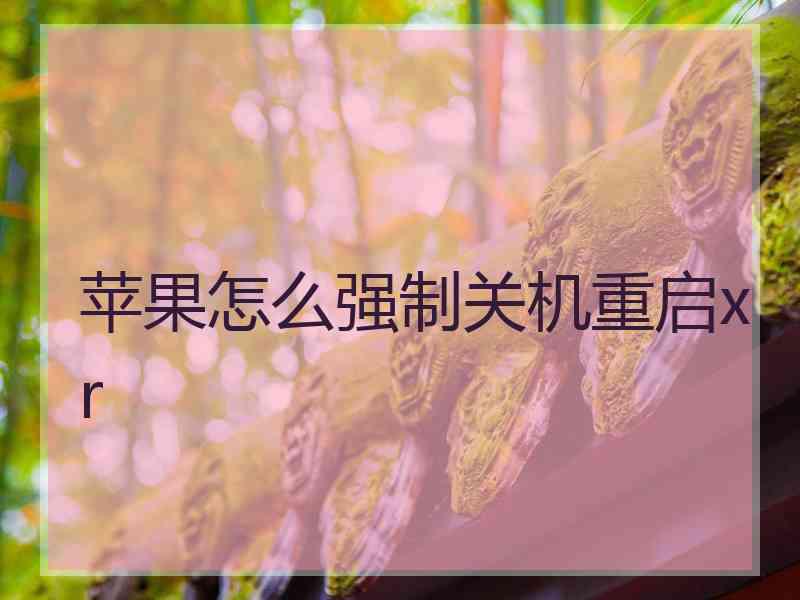 苹果怎么强制关机重启xr