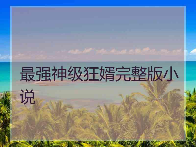 最强神级狂婿完整版小说