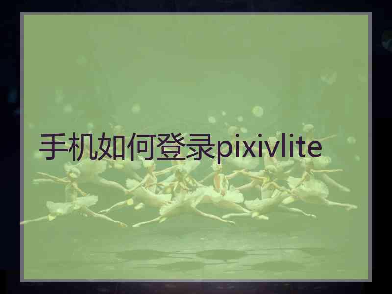 手机如何登录pixivlite