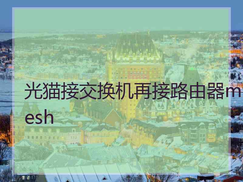 光猫接交换机再接路由器mesh