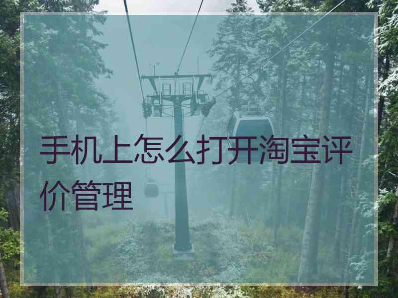 手机上怎么打开淘宝评价管理