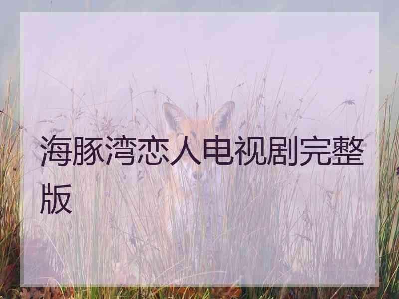 海豚湾恋人电视剧完整版