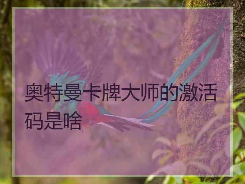 奥特曼卡牌大师的激活码是啥
