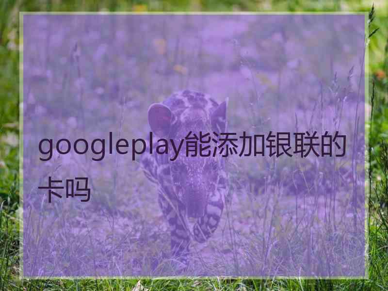 googleplay能添加银联的卡吗