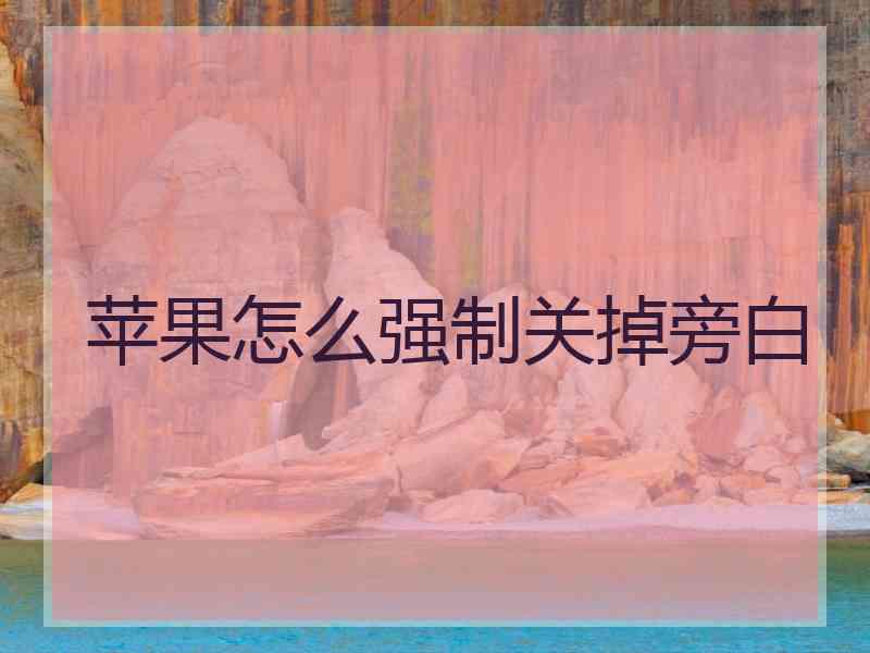 苹果怎么强制关掉旁白
