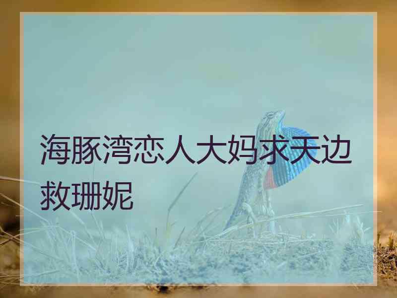 海豚湾恋人大妈求天边救珊妮