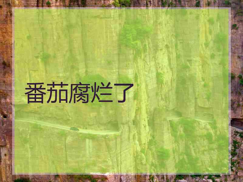 番茄腐烂了