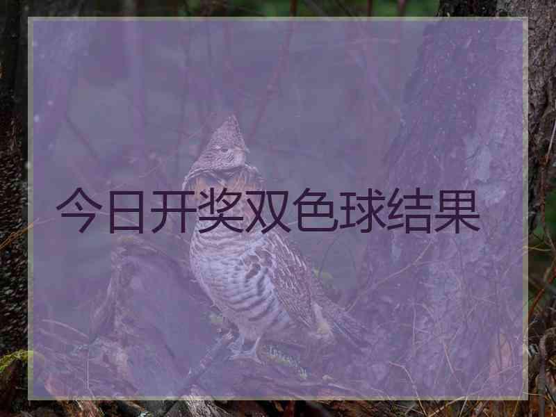 今日开奖双色球结果