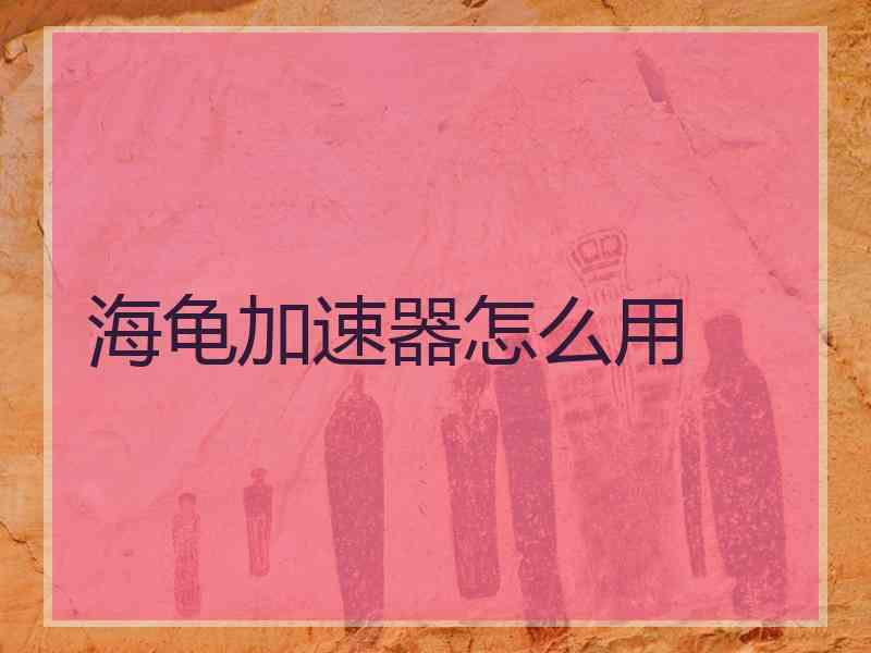 海龟加速器怎么用