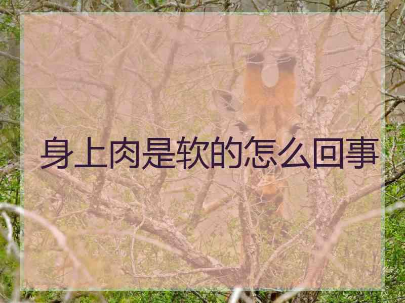 身上肉是软的怎么回事