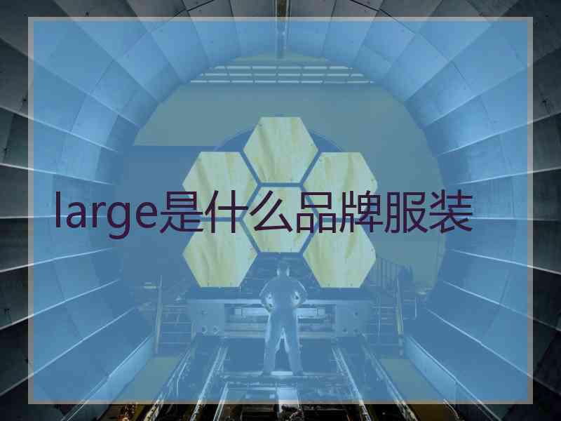 large是什么品牌服装