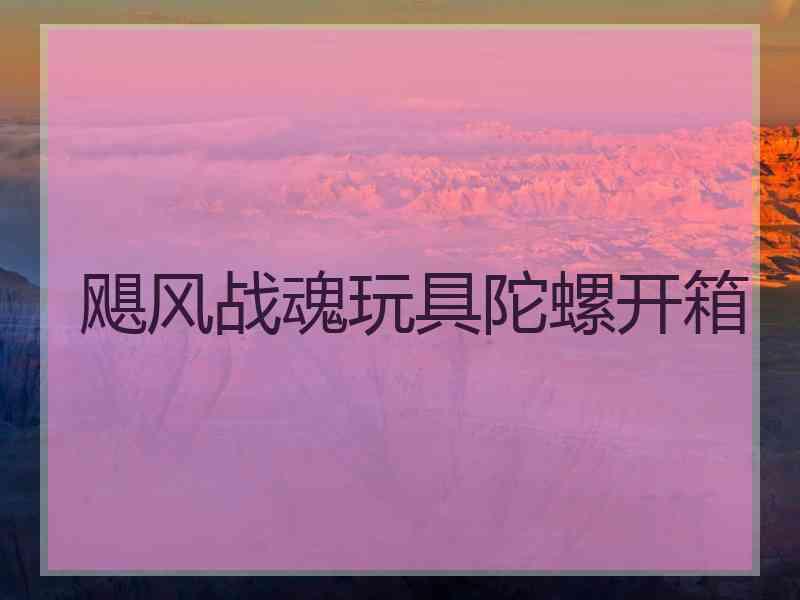 飓风战魂玩具陀螺开箱