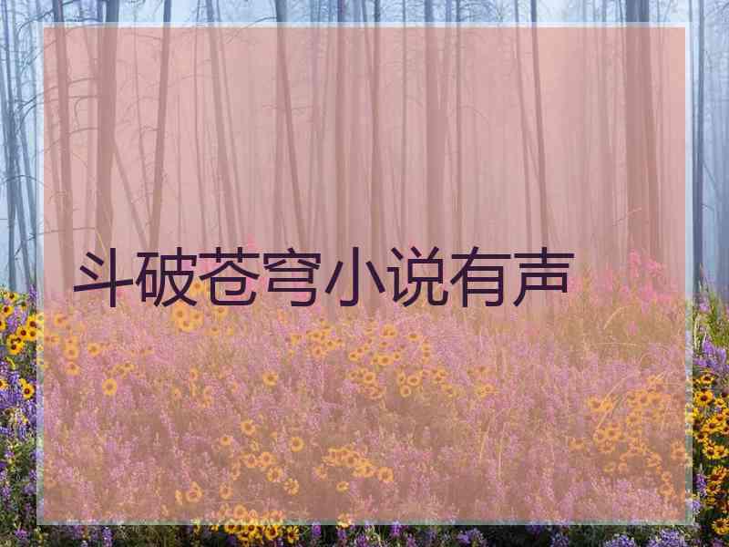 斗破苍穹小说有声